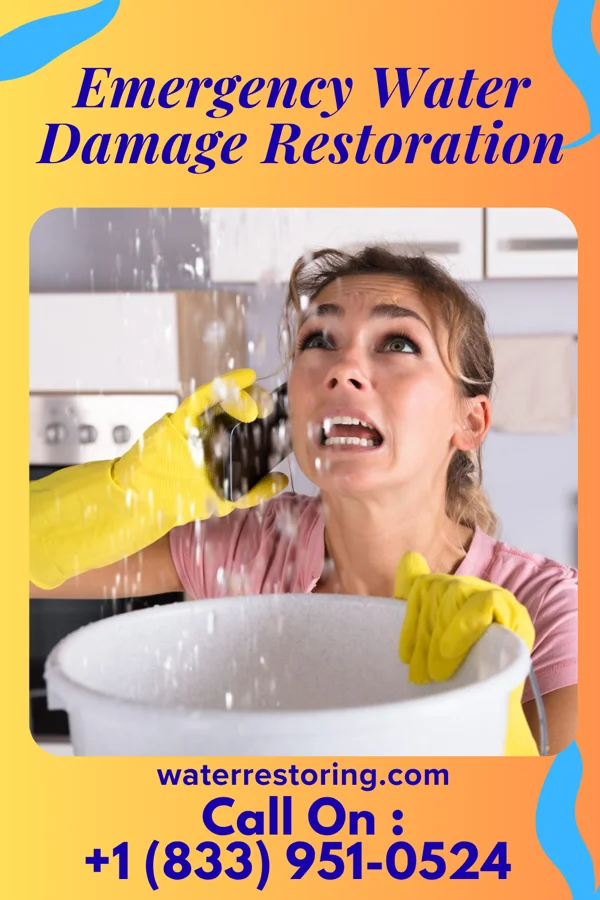 Emergency Water Damage Restoration in Surf City, NJ