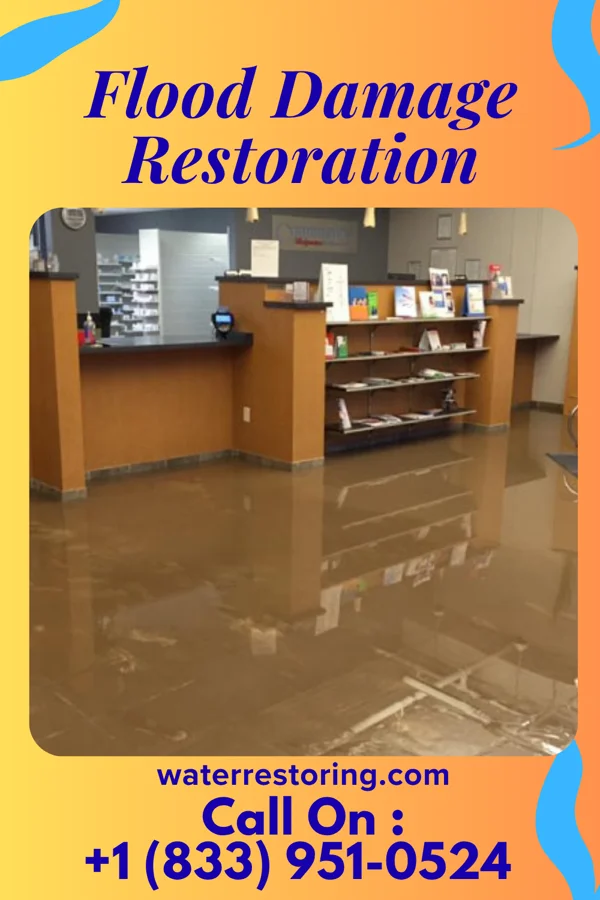 Flood Damage Restoration in Surf City, NJ