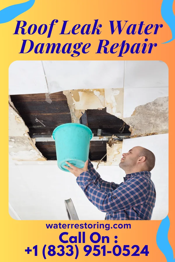 Roof Leak Water Damage Repair in Surf City, NJ