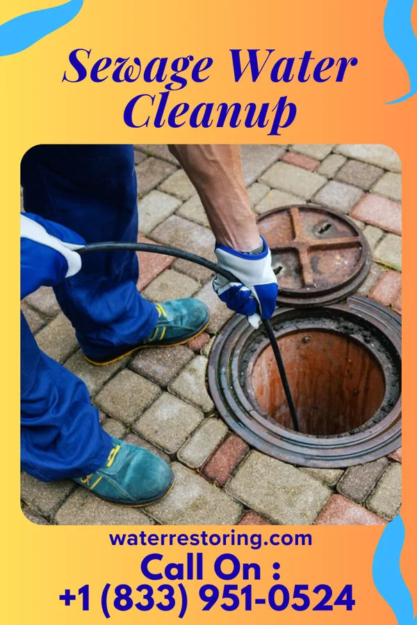Sewage Water Cleanup in Surf City, NJ